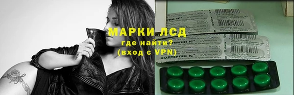 амф Верея