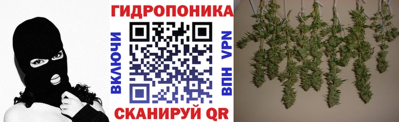 KRAKEN маркетплейс  Черногорск  Конопля планчик 